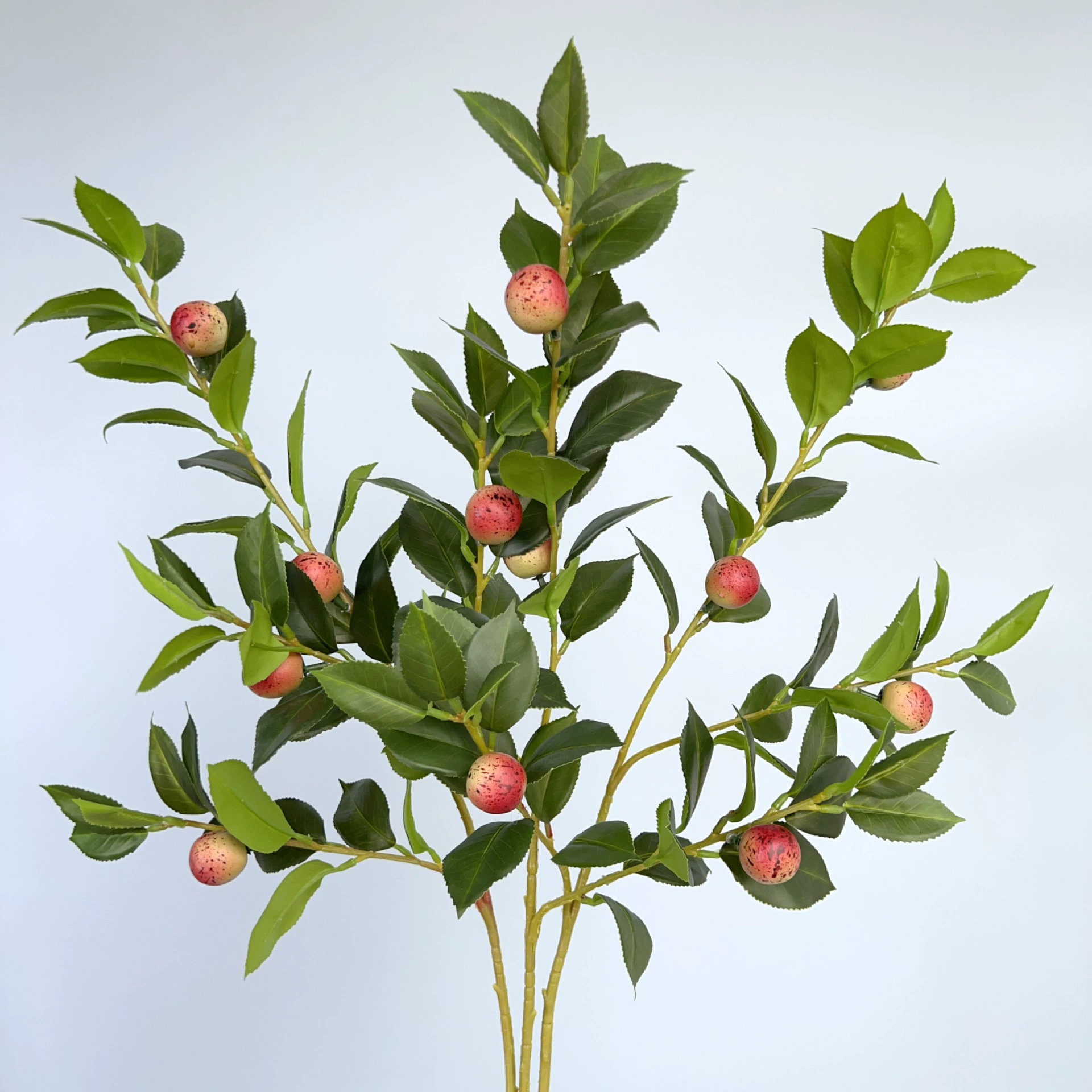 Моделирование чайных плодов чайные семени плодовые ветви декоративные растения цветочные композиции поддельные цветы съемка реквизита для гостиной крыльцо