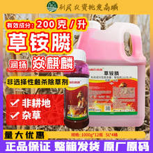 润扬草铵膦炎麒麟草铵膦杂草除草剂非耕地果园行间除草剂