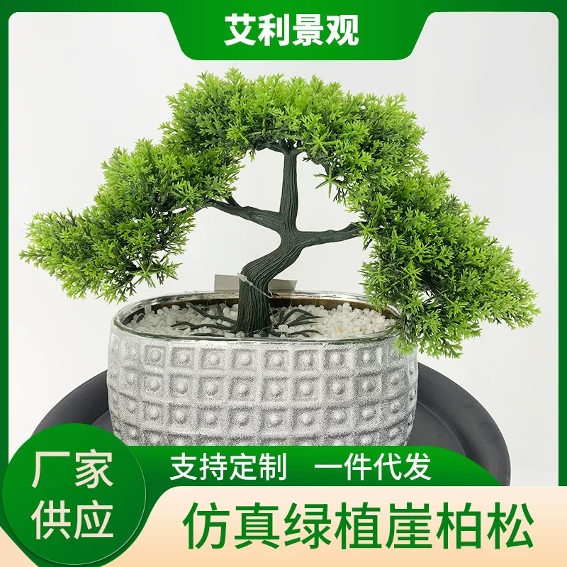 Пихта thuja в горшке, искусственные деревья, пластиковые суккуленты, растения для украшения гостиничного номера зелёные растения оптом