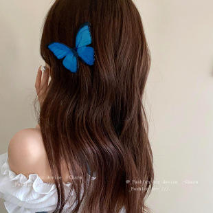 ɭϵ�Շ��к����l�AС�����|�OӋ������A�r�аٴ���@�L�l����l