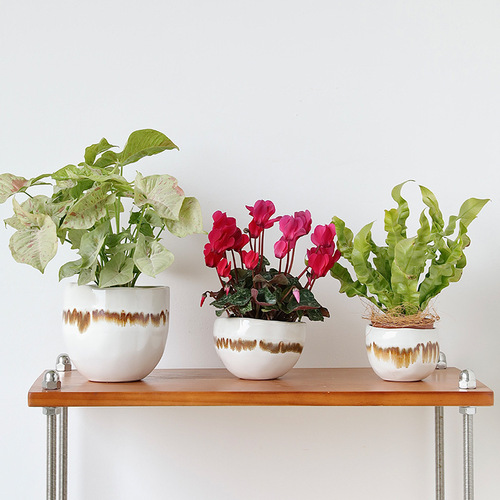 Creative irregular shape desktop landscape green plant pot flow glaze niche design ceramic mini flower pot