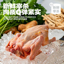 �½���ʲ�r������ɢ�B���� 270g