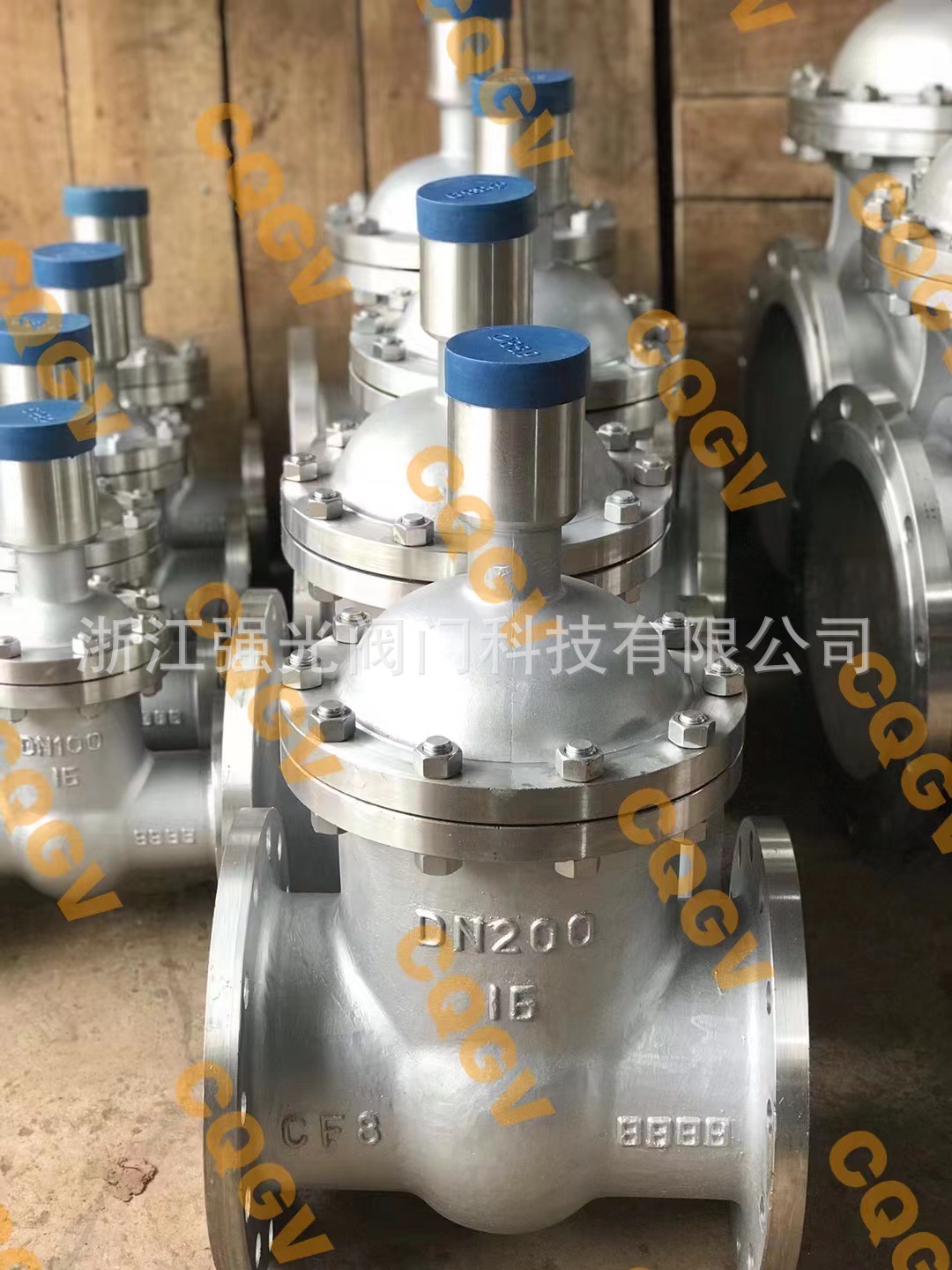 FDZ45H-16P，FDZ45H-25P,不锈钢防盗法兰闸阀,不锈钢锁闭闸阀