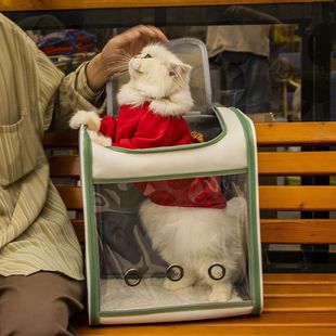 Cat Bag Backpack for Pets When Going Out, Large Capacity Dog ​​Bag for Small and Medium-Sized Dogs, Foldable Breathable Summer Portable Backpack