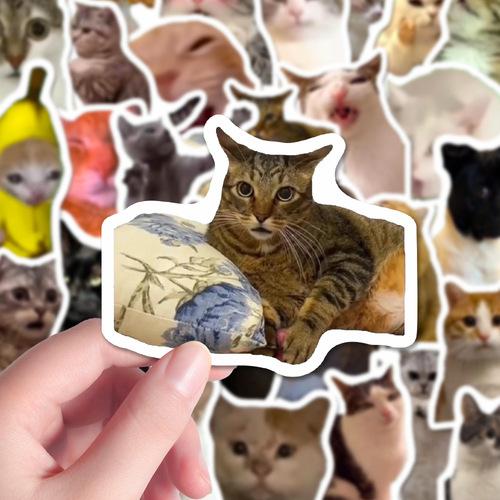 202 Cat Meme Sticker Creative Funny Cute Pet Instagram Style Handwritten Notebook Phone Case Sticker Waterproof