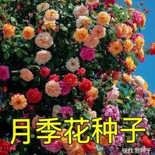 �¼����N�����»����¼t�L�����ļ����ٴ��N���Nޱ�ƌ��ļ��_��