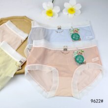 ��9622#�ᱡ͸����˿Ůʿ�ڿ�30*24cm�����׷���Ů�����ڿ�������
