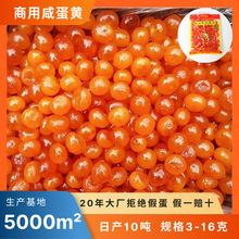 Դ�^���S�̵��S5-6g��������W����ɳ���͵��S�ֺ決���ô���b