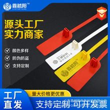 一次性塑料封条铅封物流快递封签货车集装箱铅封园林苗木扎带定制