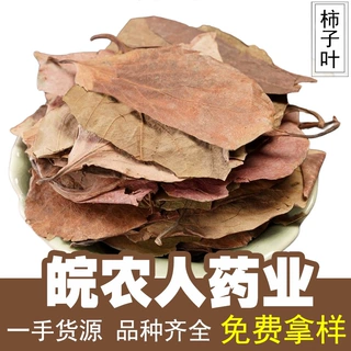 柿子叶500克无硫干货柿叶晒干柿子叶茶泡水喝中药材大全代发批发