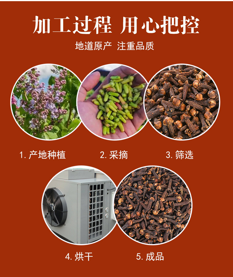 Clove Buds (Syzygium aromaticum) — Dried Food-Herb Spice, Bulk A+ Grade in use