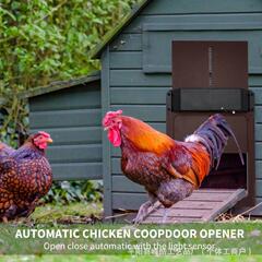Autotic Chicen Cop Dor新しい二世代ペットケージ家庭用自動光感鶏舎ドアペットドア