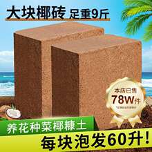 Ҭ�u�I�B���N��ͨ����Ó�}Ҭ����KҮ�u�����������B�������Nֲ��