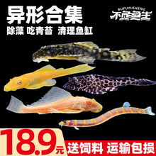 �S������~Ů������������~�����q�����坍���ߟᎧ�^�p���w�~