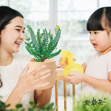 Ecoey绿植小盆栽仙人掌室内花卉植物蚂蚁森林太阳花儿童节礼物