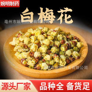 ��÷�� �G÷�� �G��÷ �G÷�� ���NҎ�����ð�÷����؛���l