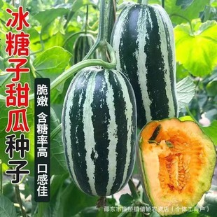 ��������ϷN�Ӹ߮a���������۾G��ʯ�N�������̨���ˮ����ȫ