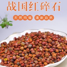 战国红原石 南红玛瑙原石碎石鱼缸碎石香薰石扩香石水晶装饰摆件