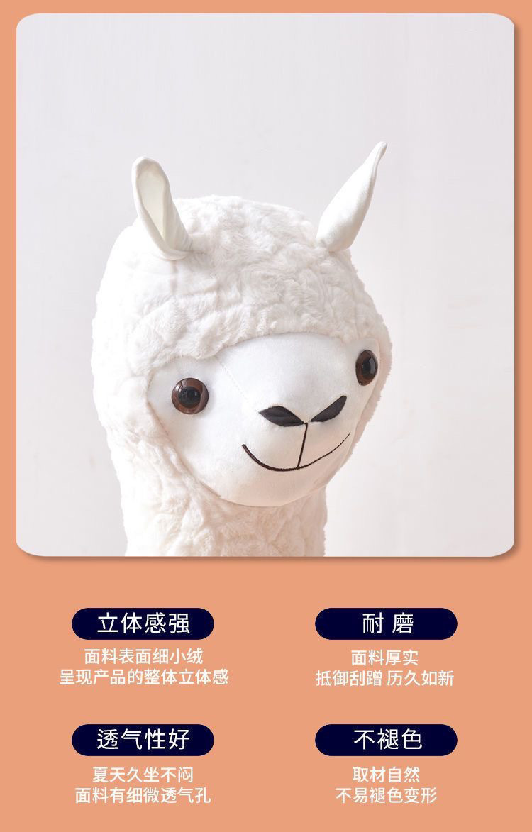 6b5e25bc-5bb6-487a-9346-30a36c5fb23f.jpe