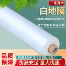 rðɫĤرӺrĤ׷Nֲ͸ϱĤ