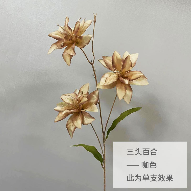 다크 브라운
