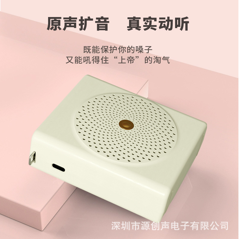 新型の越境小蜂拡声器の先生のガイドは呼び出し器のbluetoothカードのusbメモリのコンピュータのプレーヤーを販売します。|undefined