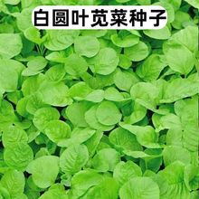 ׈A~{˷NļN׷Nֲ{˷N߲˷N˷N