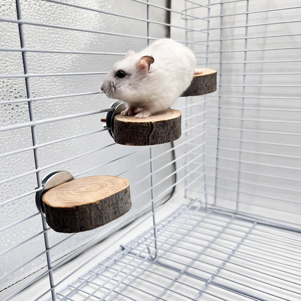Juguete de hámster, marco de estación de pájaro loro, tronco, madera de manzana, plataforma redonda, accesorios para jaulas de pájaros, juguete de mordisco de madera para mascotas pequeñas