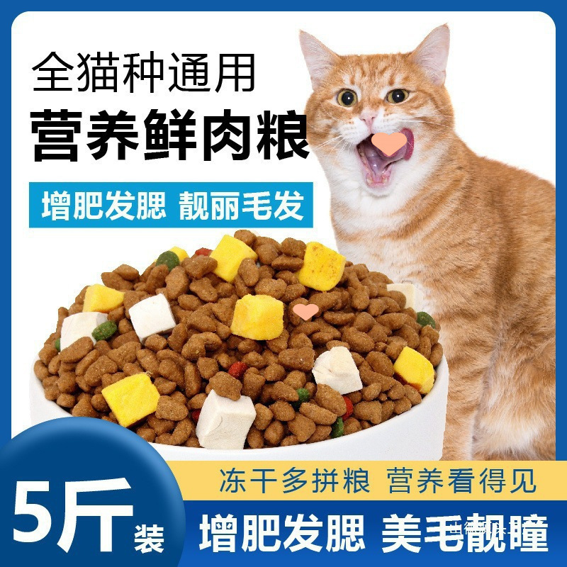 General-Purpose Cat Food Wholesale for Young Cats, Large Bags Wholesale, Ocean Fish Flavor, Fattening Stray Cat Food