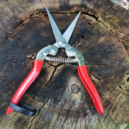 Manufacturer direct supply wholesale stainless steel dipped pruning fruit grape vegetable rare fruit branch pruning fruit branch shear