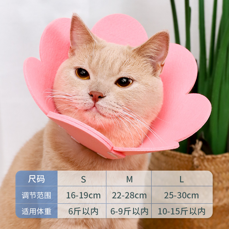 エリザベスリング猫絶育首輪猫の頭カバーは首をかむのを防ぎます。|undefined