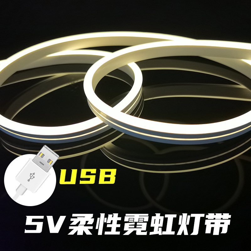 5V 저전압 배터리 USB 램프를 가진 국경 LED 실리콘 유연한 네온 램프 분위기 램프 장식 손으로 그린 램프 그림