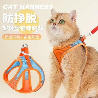小型犬猫咪宠物牵引绳胸背带反光透气狗绳子泰迪牵引带扁绳子伸缩