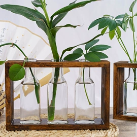 装饰花瓶;水培植物瓶;玻璃工艺品