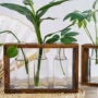 办公客厅家居植物花瓶