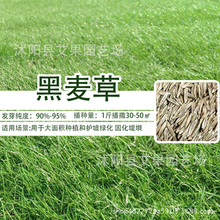 �ļ��๷��������é����������������Ѳ�Ƥ������Ľ���R�����N