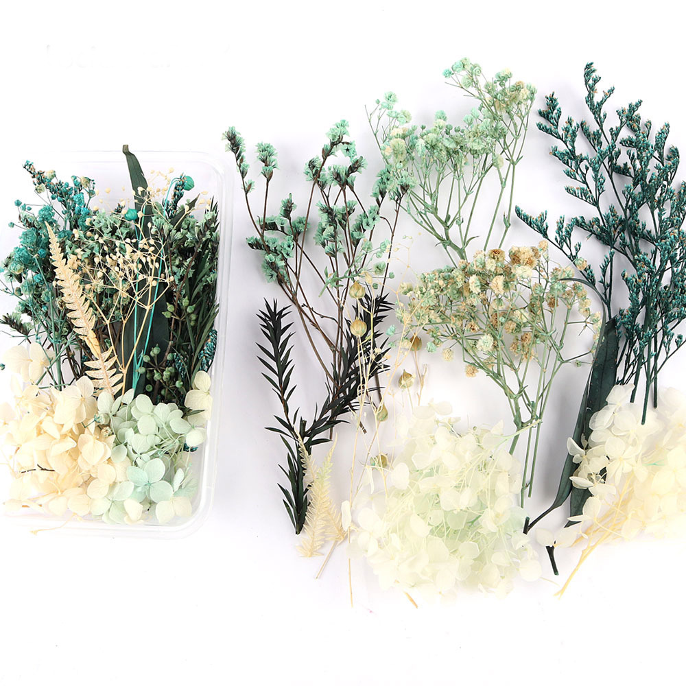 Flores secas preservadas hechas a mano, marco de fotos DIY, decoración mixta, materiales de aromaterapia, flores naturales, ramo de regalo para boda, San Valentín