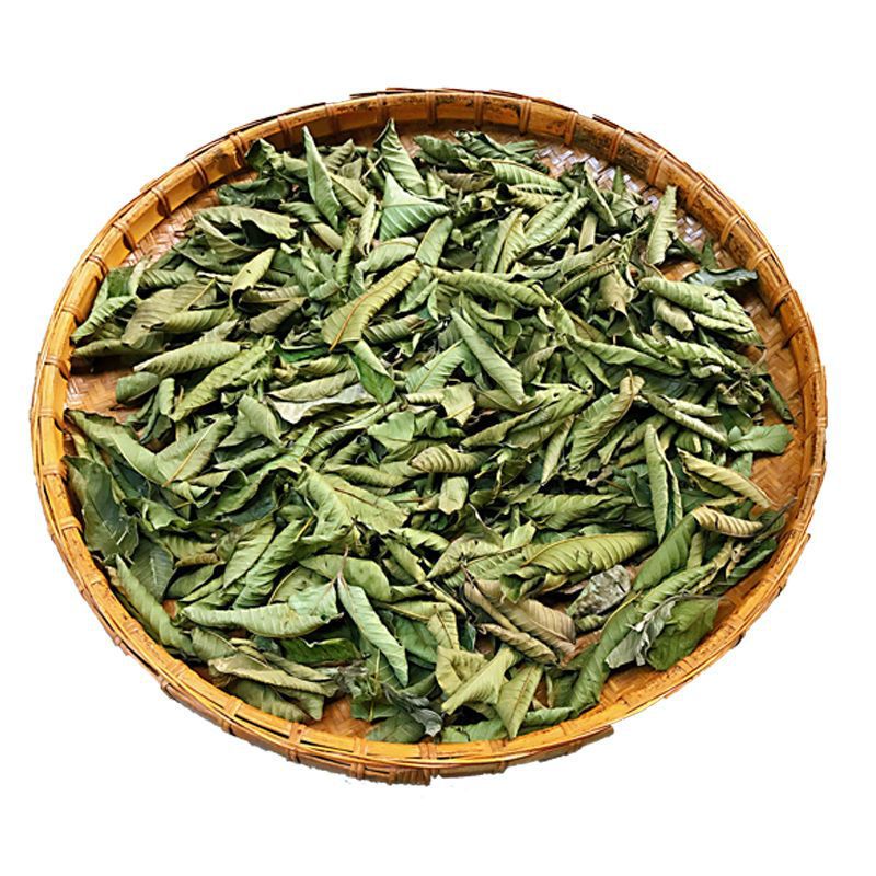 Guava Leaf Tea 500g Dried Psidium Guajava Leaves Natural Sun Dried Herbal Tea in use