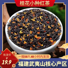 ɽ𻨼tСNt贺~EüˏSl