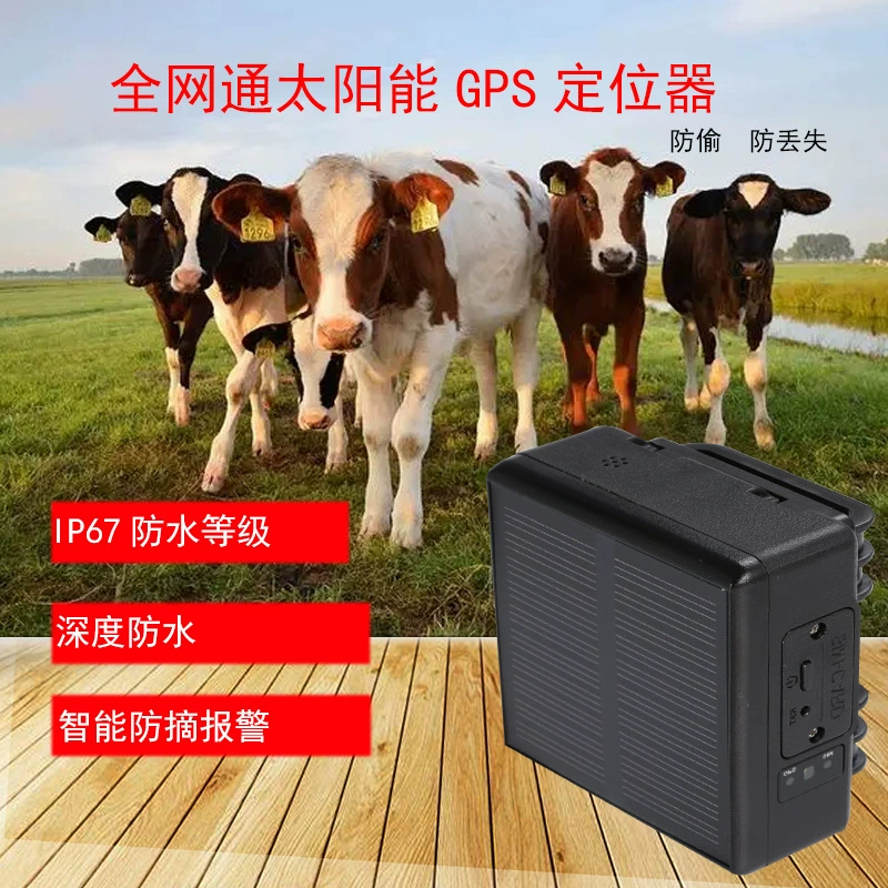 Кросс-граничный 4G GPS-локатор для крупного рогатого скота и овец с солнечной батареей, дистанционное отслеживание, специально для горных районов