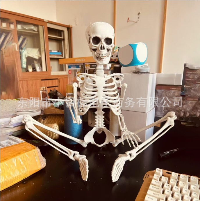 업그레이드된 90CM 해골 프레임(오목형 가능)