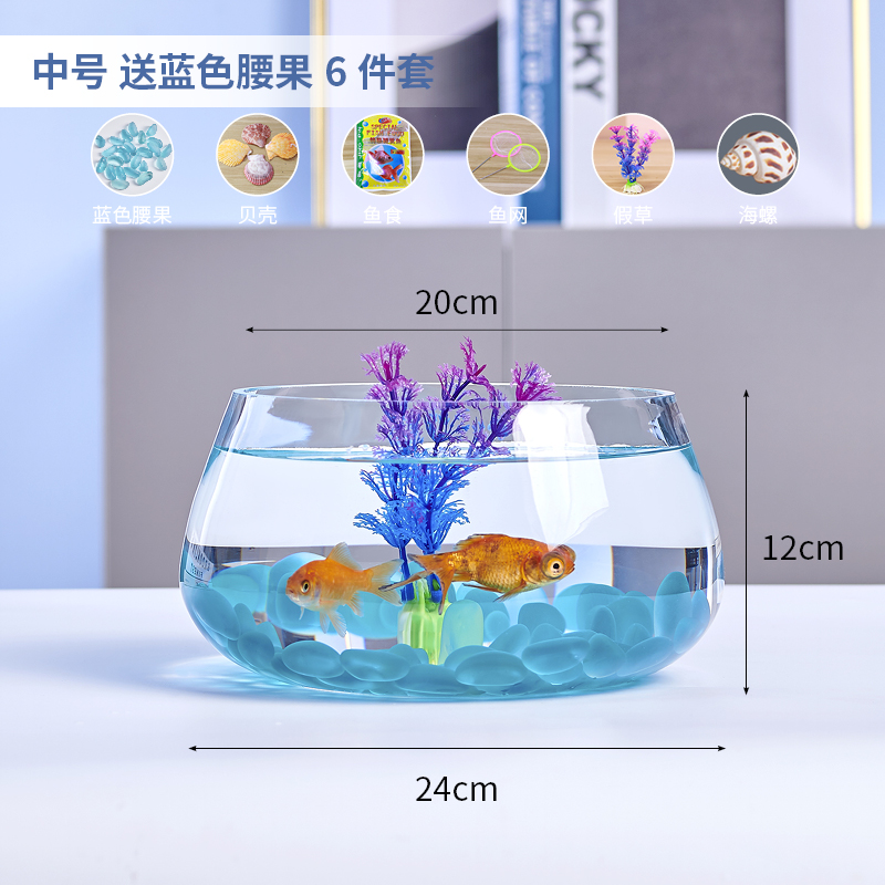 중간 거북이 실린더 블루 캐슈 6 조각 세트