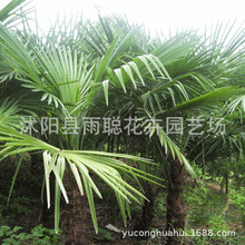 ���羳��؛���ؙ��N�� �G����ľ�N�� �ؙ���N�� ��ƿ�~�� ���˿�