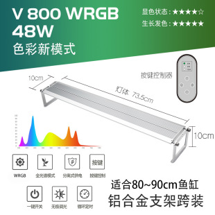 �������o�O�{��WRGB�~�ן�Vϵ�� �쾰ˮ��LED��ˮ��ֲ�����L��