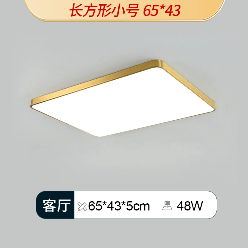 Golden LED ceiling light, lights for corridor, room light, light luxury style