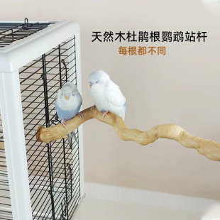 �B�ö��Nľվ�U�W�^���L��Ƥ��ҧĥ��ԭľվ���B�\��ͨ�|Ƭ�쾰