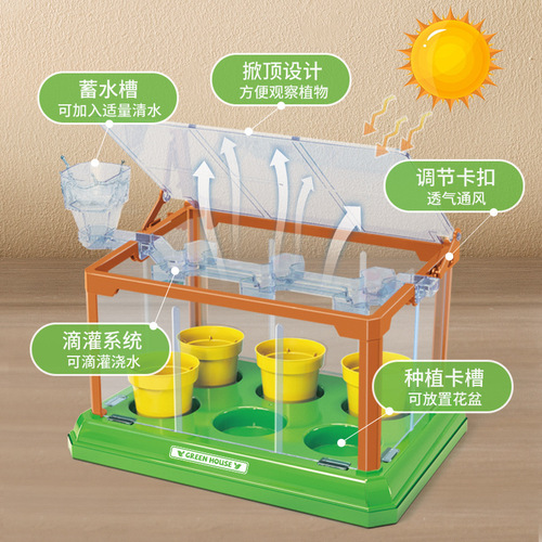Planting greenhouse mini sunroom creative plants, handmade DIY materials for science experiment observation and learning toys