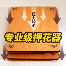 Ѻ����diy����ֲ��˱����������b�ֹ������ɻ�ˮ��Ƭ���߉�����