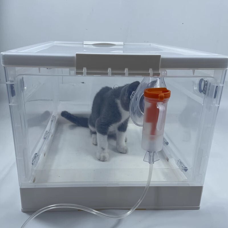 猫咪雾化箱狗吸氧箱猫鼻支雾化狗咳嗽咳雾化仓宠物雾化箱猫吸氧箱|undefined