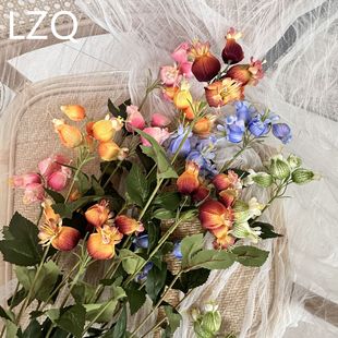 �zӡ���\�����滨�Ҿ��bٻ����յ��߻�c�廨ľ�޹�������R